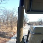 Blog thumbnail